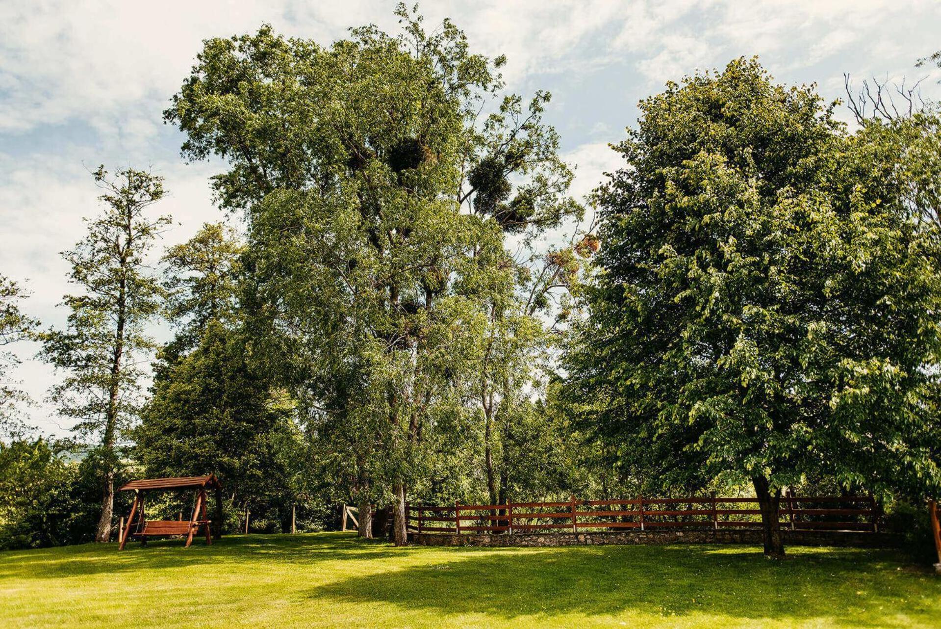 Kakukk Vendeglo Panzio Bed & Breakfast Band Exterior photo